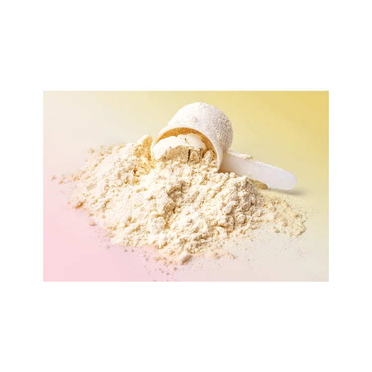 Most Demanded Wholesale Selling 100% Pure and Healthy High Protein Contain Sweet Whey Powder