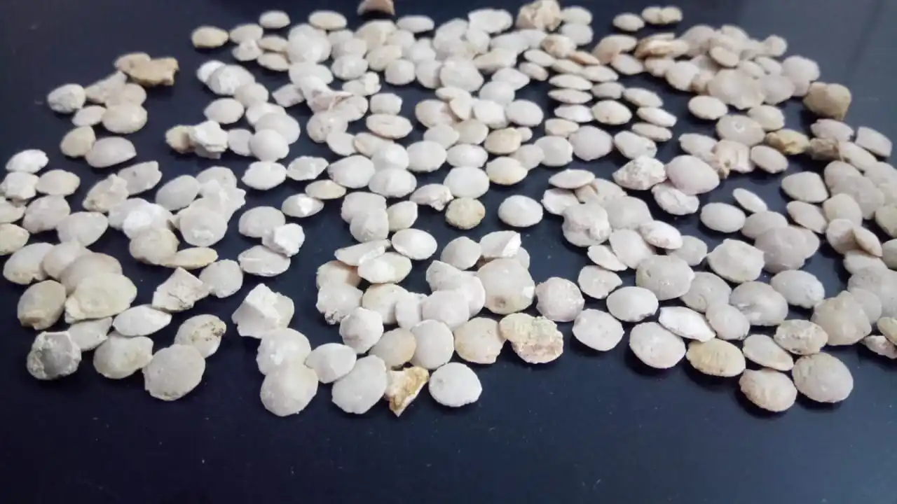 quartz and agate stone crushed chips mixed and used terrazzo floor and industrial epoxy flooring application with hardness 8 nos