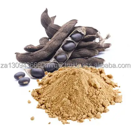 mucuna prurien 1.jpg