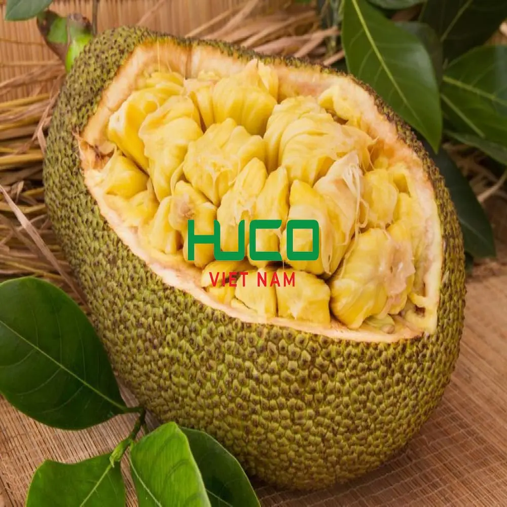 Vietnam Fresh Jackfruit 100% organic at Farm Price
