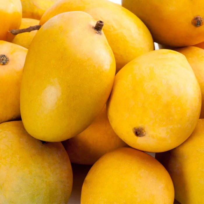 Fresh Mango Fruit Ready To Export Chaunsa Sindhri Mangoes from Pakistan