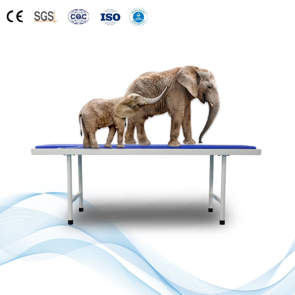 Medical Manual Factory Price Gynecologic Exam Bed Hospital Portable Gynecology Examination Table for Sale