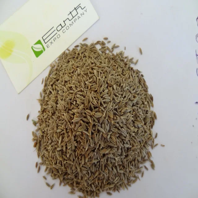 Wholesale Premium Quality natural cumin seed exporter from India