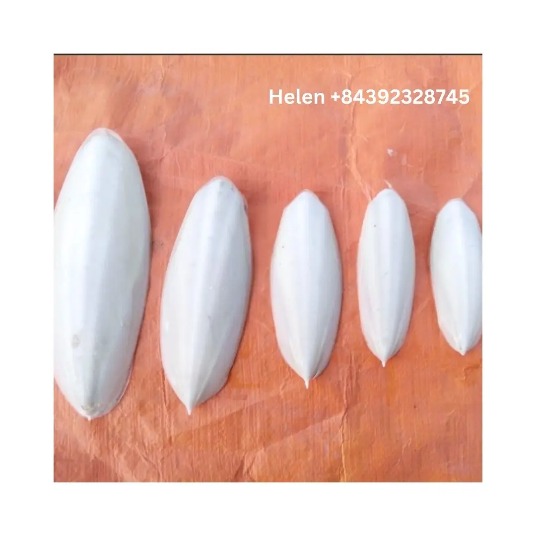 VIETNAM SUPPLIER CUTTLEFISH BONE - DRIED CUTTLEBONE VARIOUS SIZES WITH HIGH QUALITY HIGH GRADE FAVORITE BIRD CHOICE