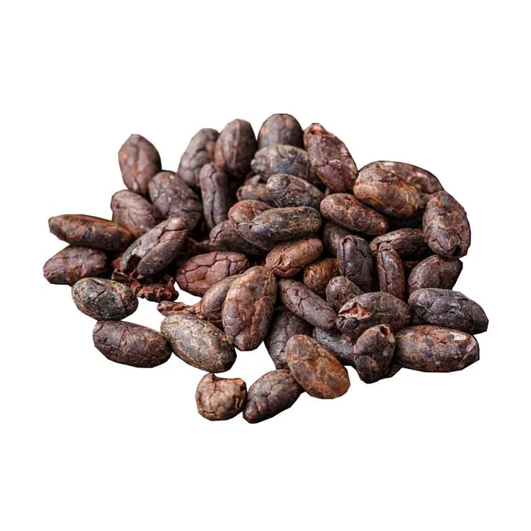 Wholesale Supplier Best Quality Cocoa Bean For Sale In Cheap Price