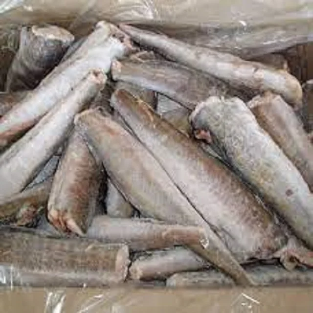 Discount sale Fresh frozen Hake whole fish, Frozen Hake fish fillet hake