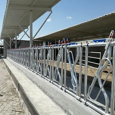 Cattle Feeding Systems Animal Feeder Lock System