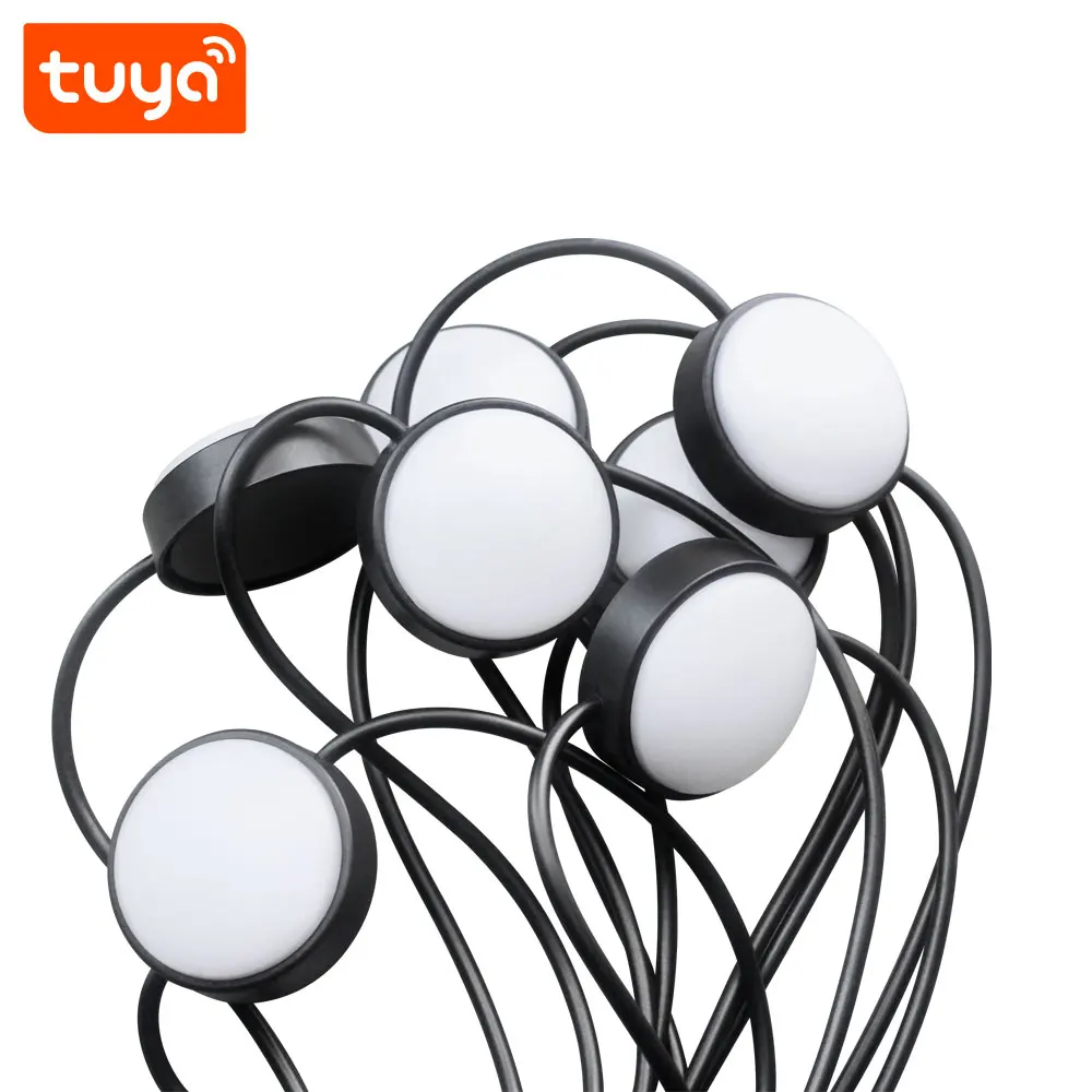 New Trending IP67 Waterproof 10m Tuya Smart Outdoor WiFi Garden Ground RGB-IC LED Light PST-CP-10M