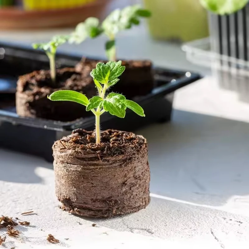 Оптовая продажа, садовые блоки для выращивания растений