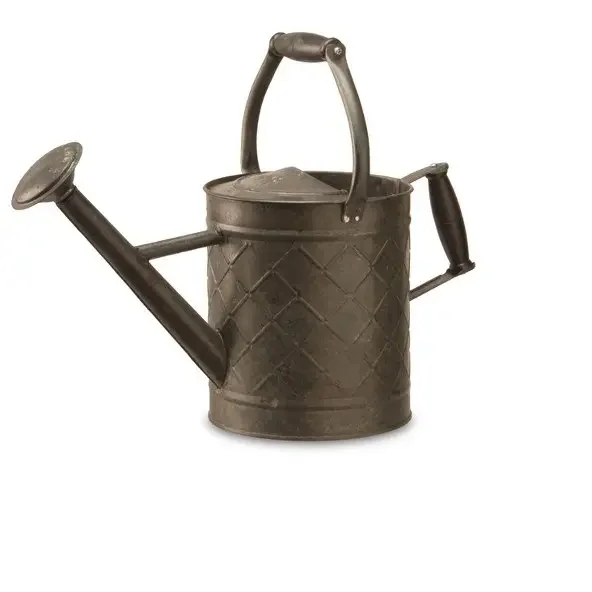 Brass Watering Can Best Quality Brass Metal New Design Custom Shape Watering Can For Home Garden Daily Usage