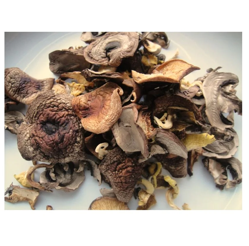 Натуральные сушеные грибы высушенные сухие Shiitake