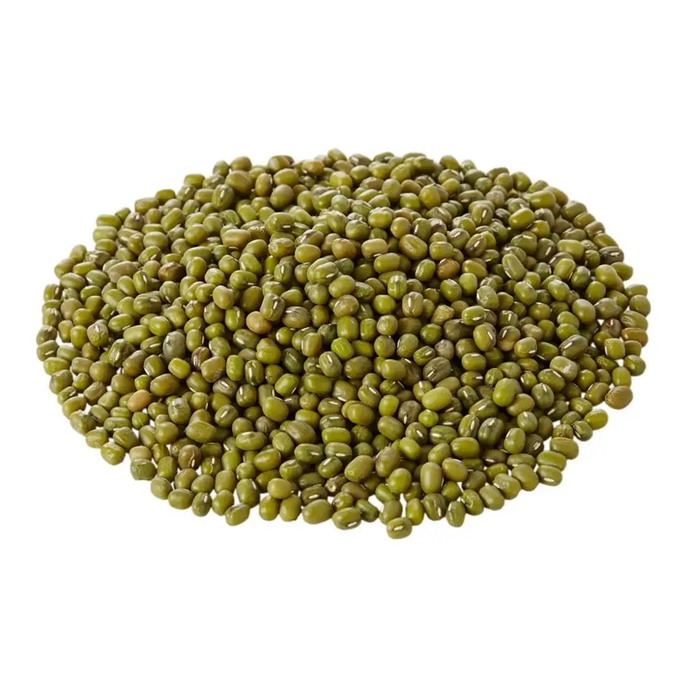 Зеленая линзовая фасоль Казахстан оптовая продажа натуральные органические зеленые линзовые бобы первого класса упаковка 50