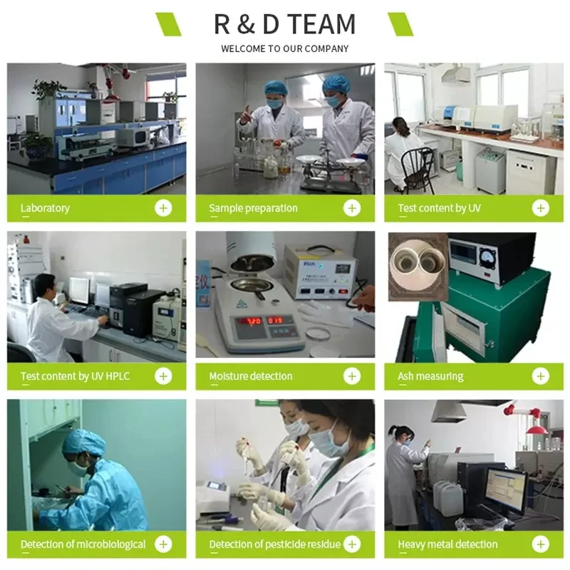 High quality 30% beta glucan chaga mushroom extract powder