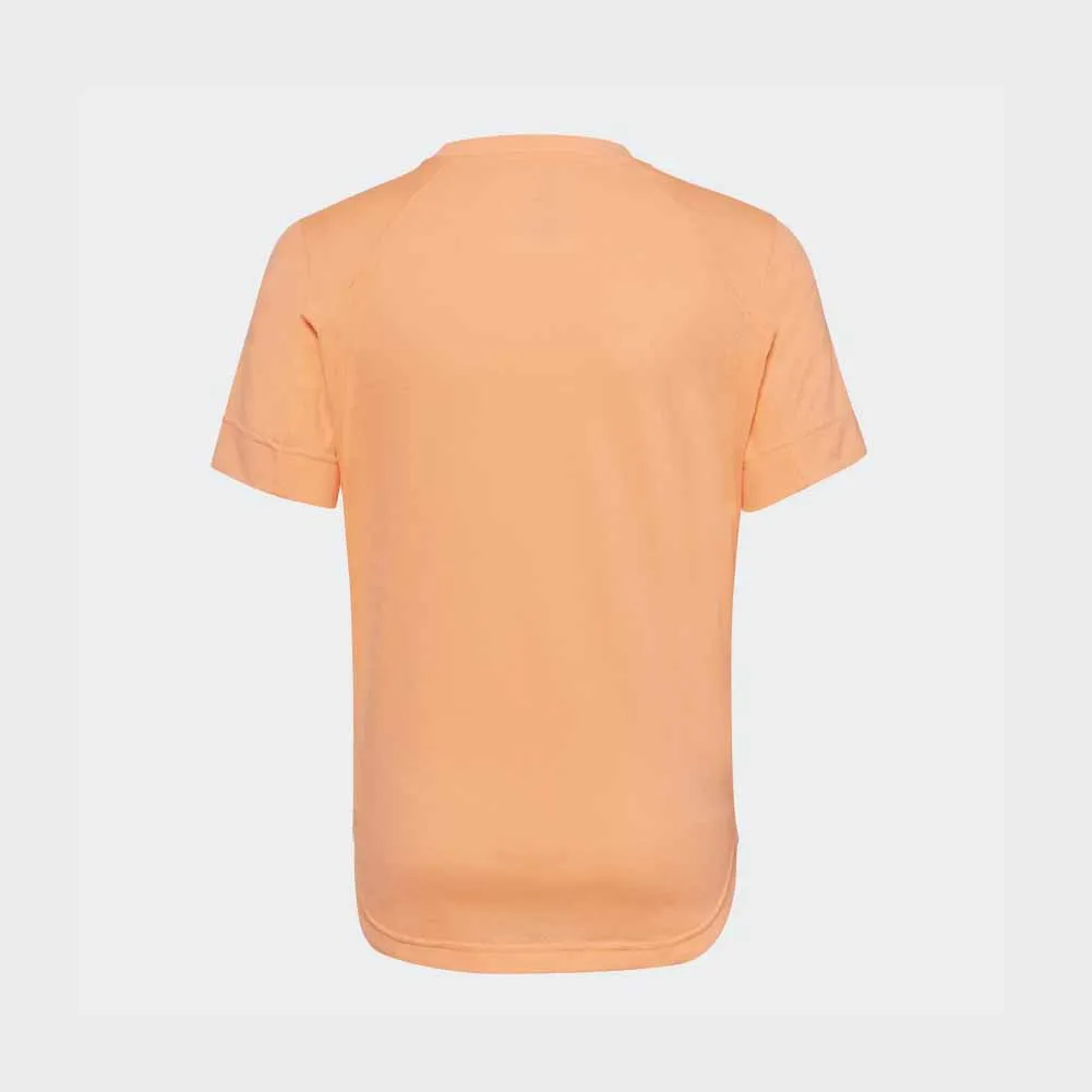 Wholesale custom print plain blank 100 sublimation 100% polyester sport gym wear t shirt