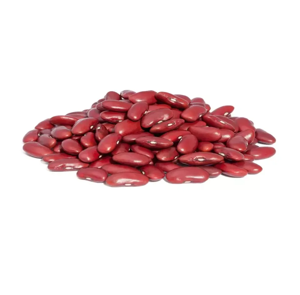 All Size Red and White Kidney   Beans