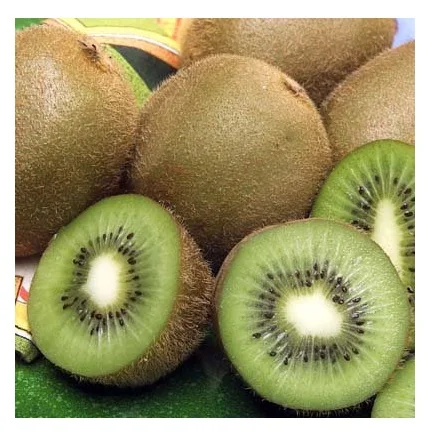 Best Quality Hot Sale Price Fresh Kiwi Fruits