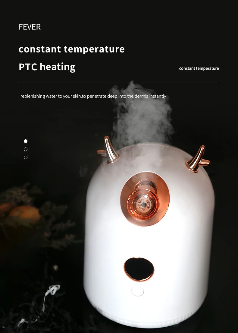 Mini Electric Household Hot Mister Nano Spray Spa Facial Customized Vaporizer Steamer