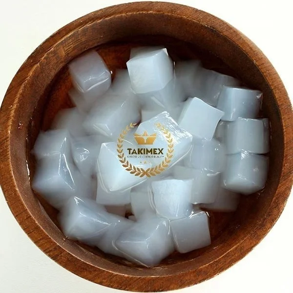 Vietnam top nata de coco factory with raw nata de coco without syprup wholesale price for big quantity at TAKIMEX