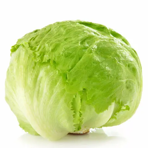 High Quality Fresh Cabbage And Wholesale New Crop Round Shape Origin Egypt Variety Products Fresh