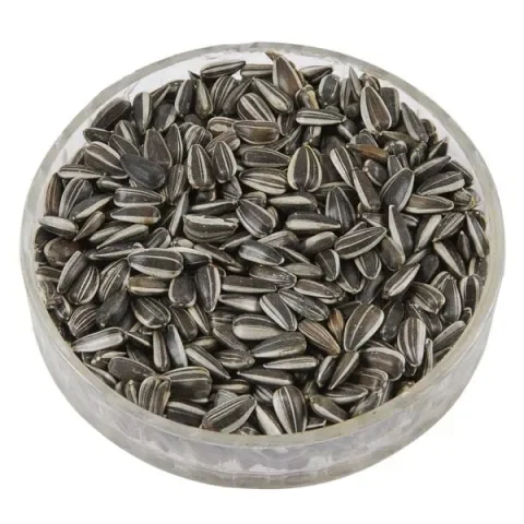 1/6 Bulk Sunflower seeds For Sale