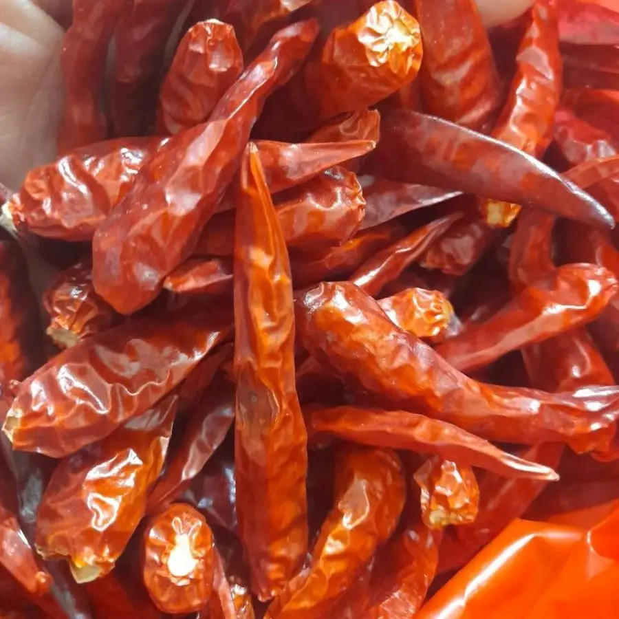 Red Chili Pepper Dried Vietnam Wholesale Hot and Spicy Export Spices & Herbs Products Good Price