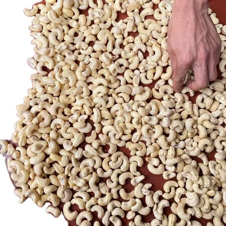 Premium Quality Grade A Cashew Nuts accept LC, DA, and DP terms of payment and provide free samples from the factory.