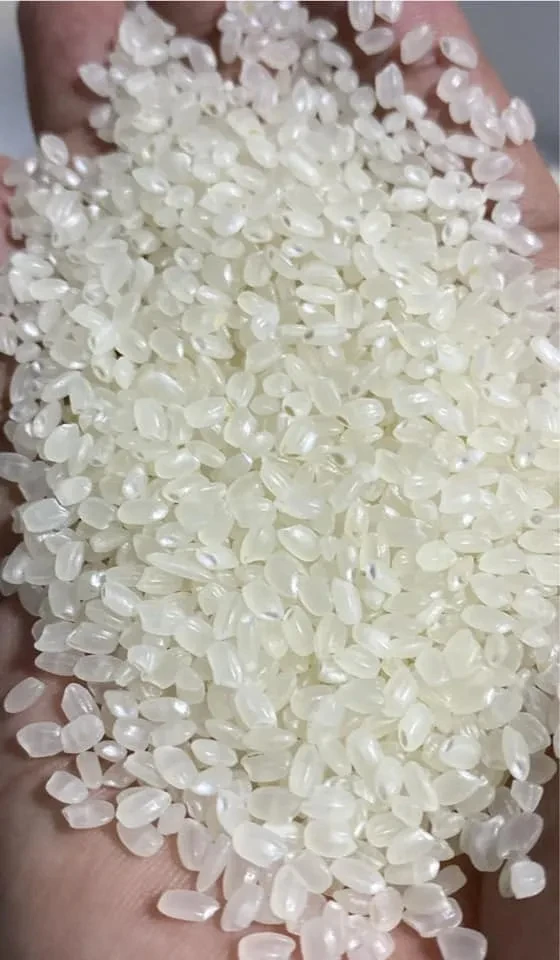 Hot Sale Instant Rice Meal Packaging Cooked White Rice in Bulk with Private Label