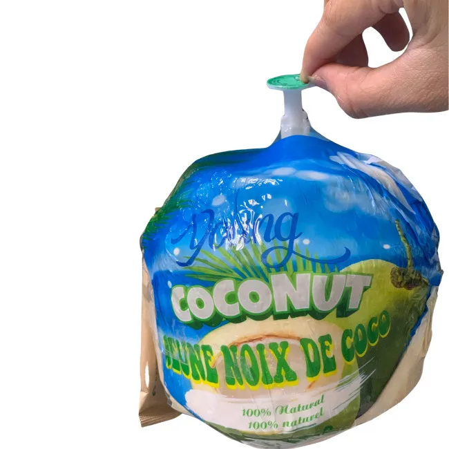 High Quality Fresh Young Green Coconut from Vietnam International Agriculture Wholesale Prices Cheap Price