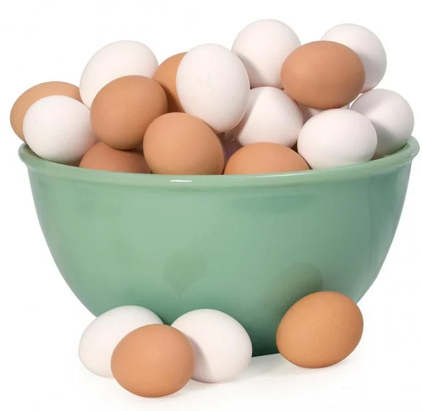FRESH Wholesale natural EGGS Best Price