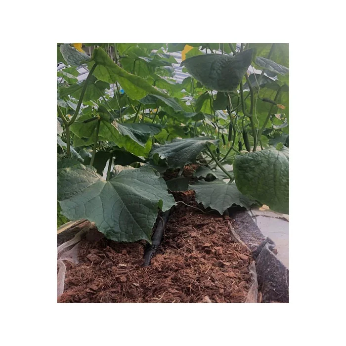 Лидер продаж блок стружки кокосовой шелухи 3 кг высокого качества 100% натуральный (1 см 1 5