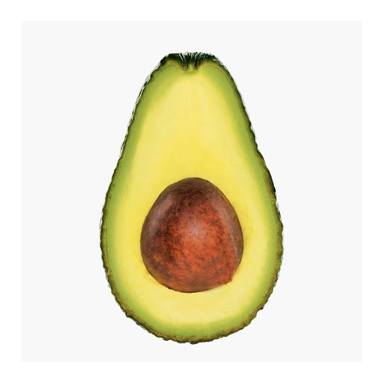 Fresh Avocado / Hass Avocado, Fuerte Avocado For Sale