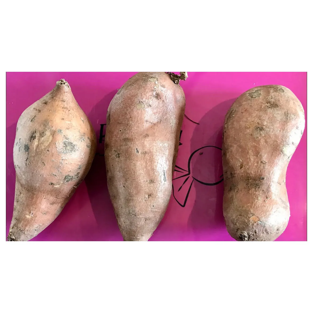 Potato fresh sweet potatoes  high quality  cheap price  professional export wholesalers fresh potato