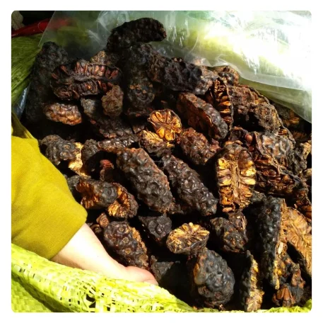 PREMIUM DRIED NONI FRUIT - NATURAL HEALTH BOOSTER WITH AUTHENTIC FLAVOR - BEST PRICE FOR BULK SUPPLY