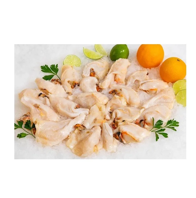 Frozen Conch Meat Seafood Wholesale