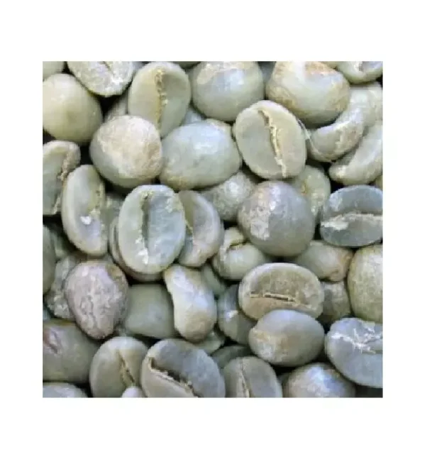 arabica and Robusta best quality Roasted Robusta coffee beans grade 1 Best Coffee Bean 100%