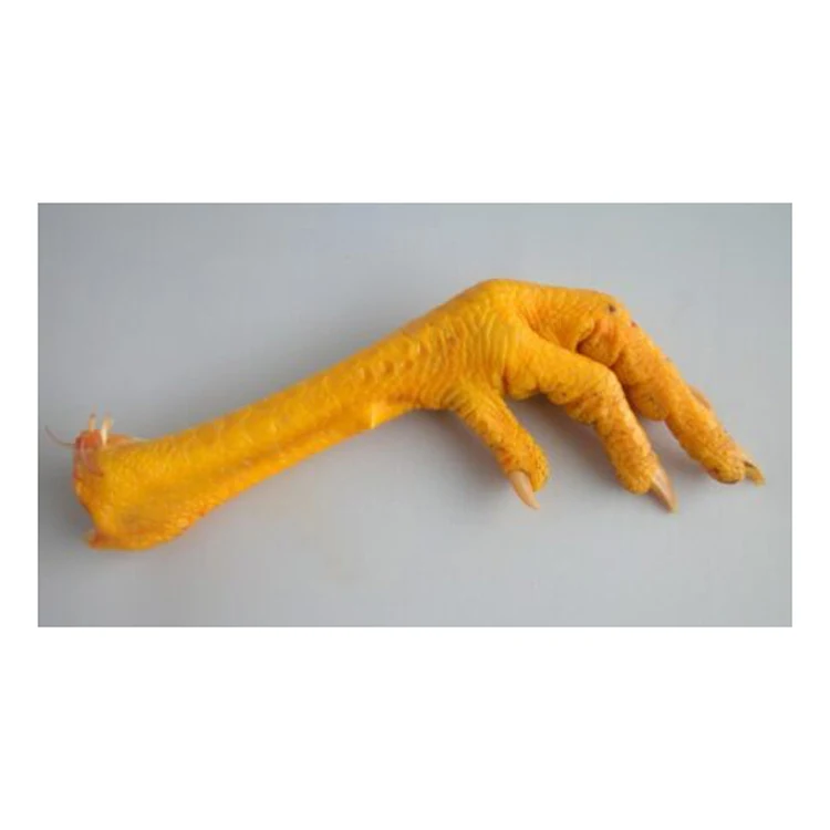 Best Grade Chicken Halal Frozen Chicken paws For Good Price Export Frozen Chicken Feet for ready market