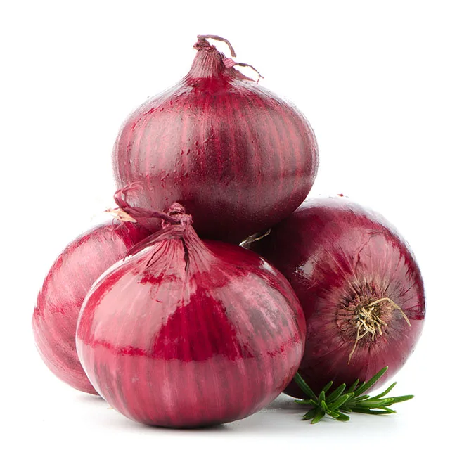 Supplier of Common Cultivation Type Superlative Quality Fresh Onions Indian for Hot Sale from Uttar Pradesh, India Red Round N/A
