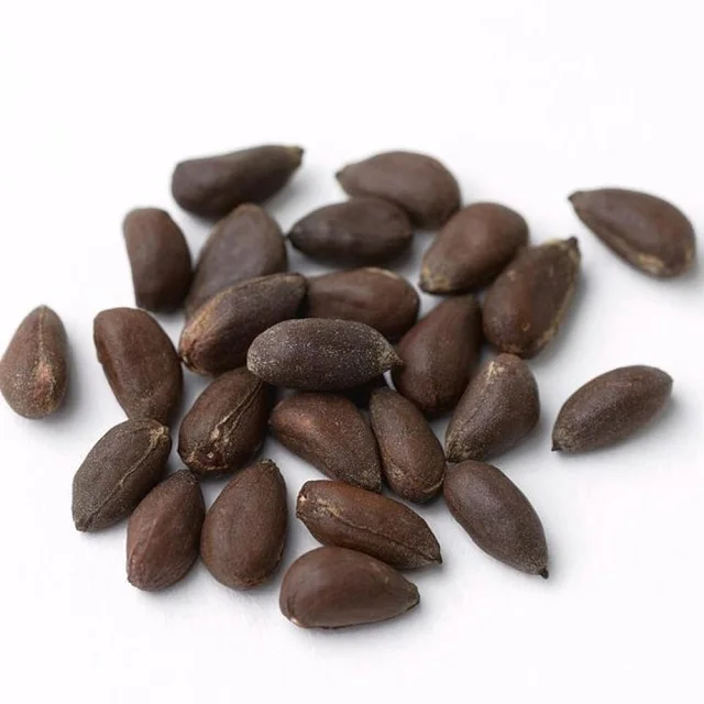 Hot sales price Cotton Seed