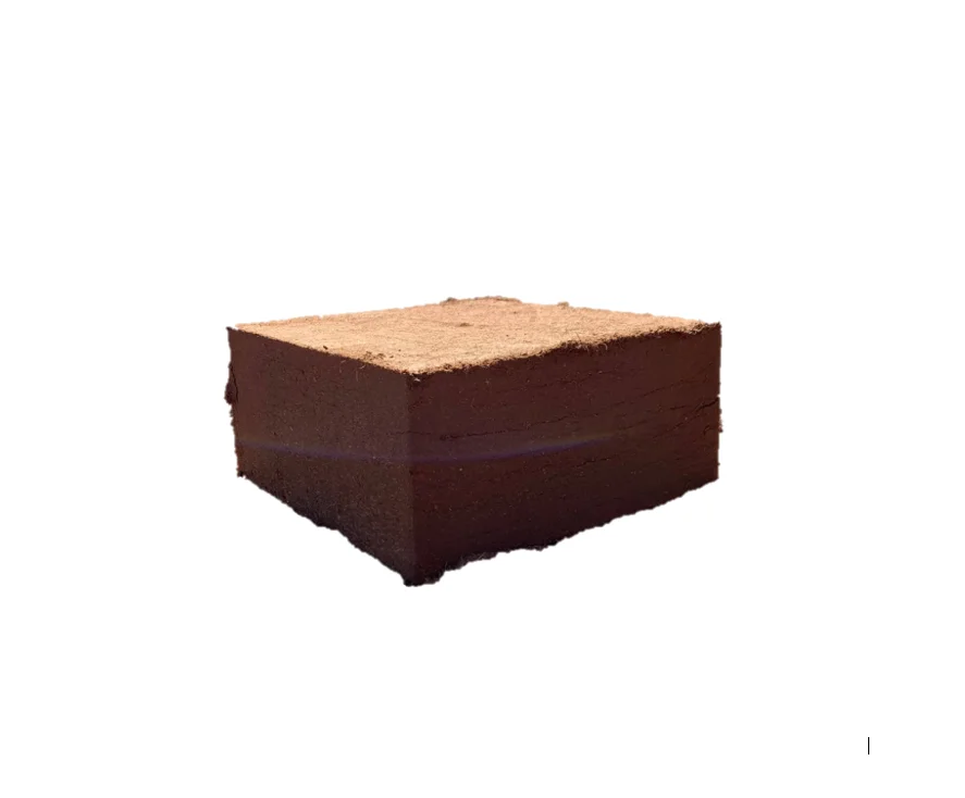 COCOPEAT ASIA GROUP IS APPLYING ABOUT COCO PEAT COIR CHIP HUSK BLOCK AND PRESSED /  PERFECT CHOICE OF FARMER FOR NURSERY SEED