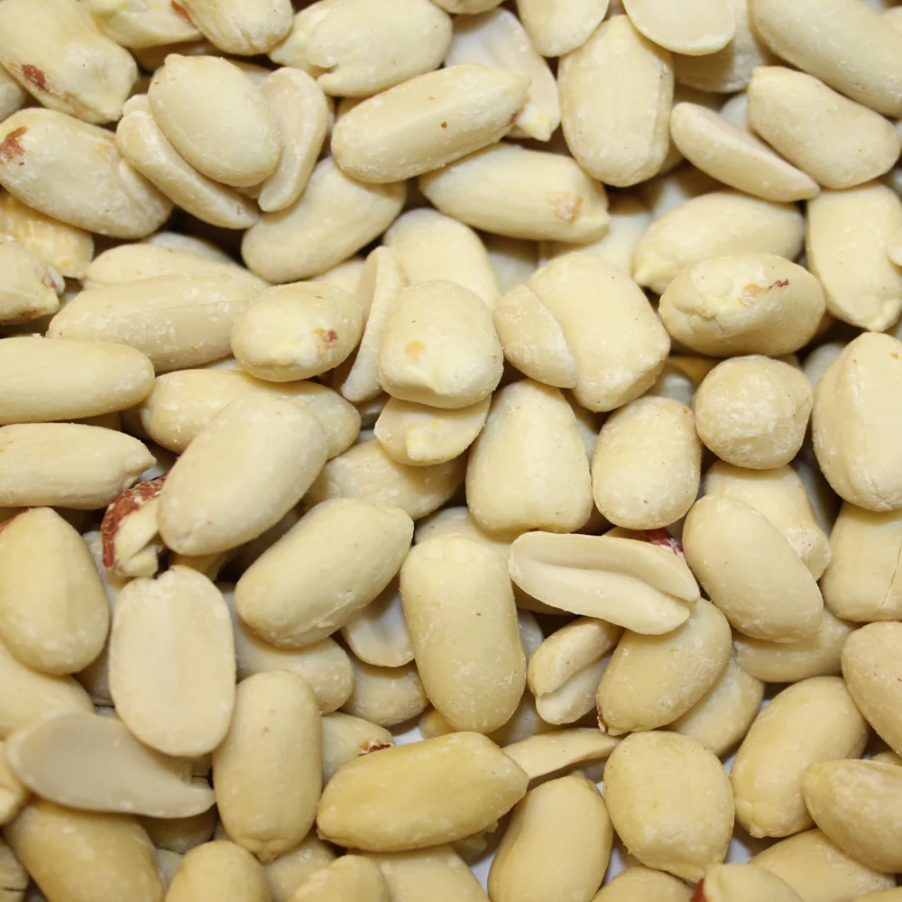 Top Grade Rich in Protein Raw Peanuts Dried Nuts Exporter at Wholesale Price