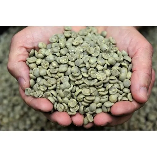Environmental Friendly Packaging Competitive Price Ferment Free ML Washed Arabica Screen 14 Coffee Beans
