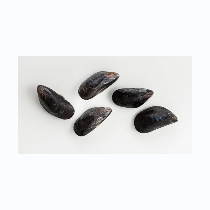 Low price seafood shellfish frozen half shell mussel