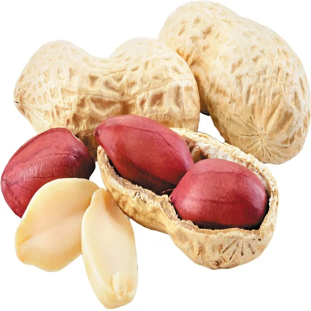 raw peanut kernels for food