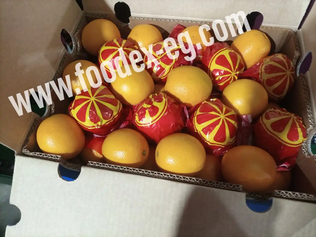 valencia egyptian orange