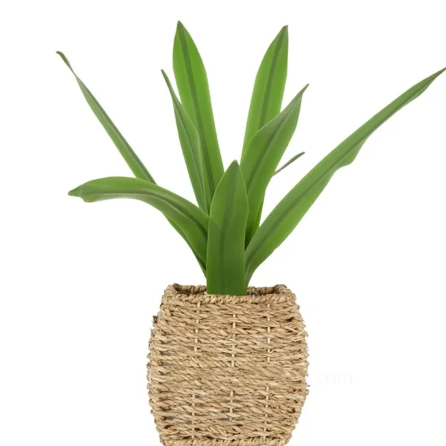 Square Seagrass Planter With Plastic Pot Indoor Large Seaweed Decorative Planter Garden plant pot from Vietnam Hot Trend 2024