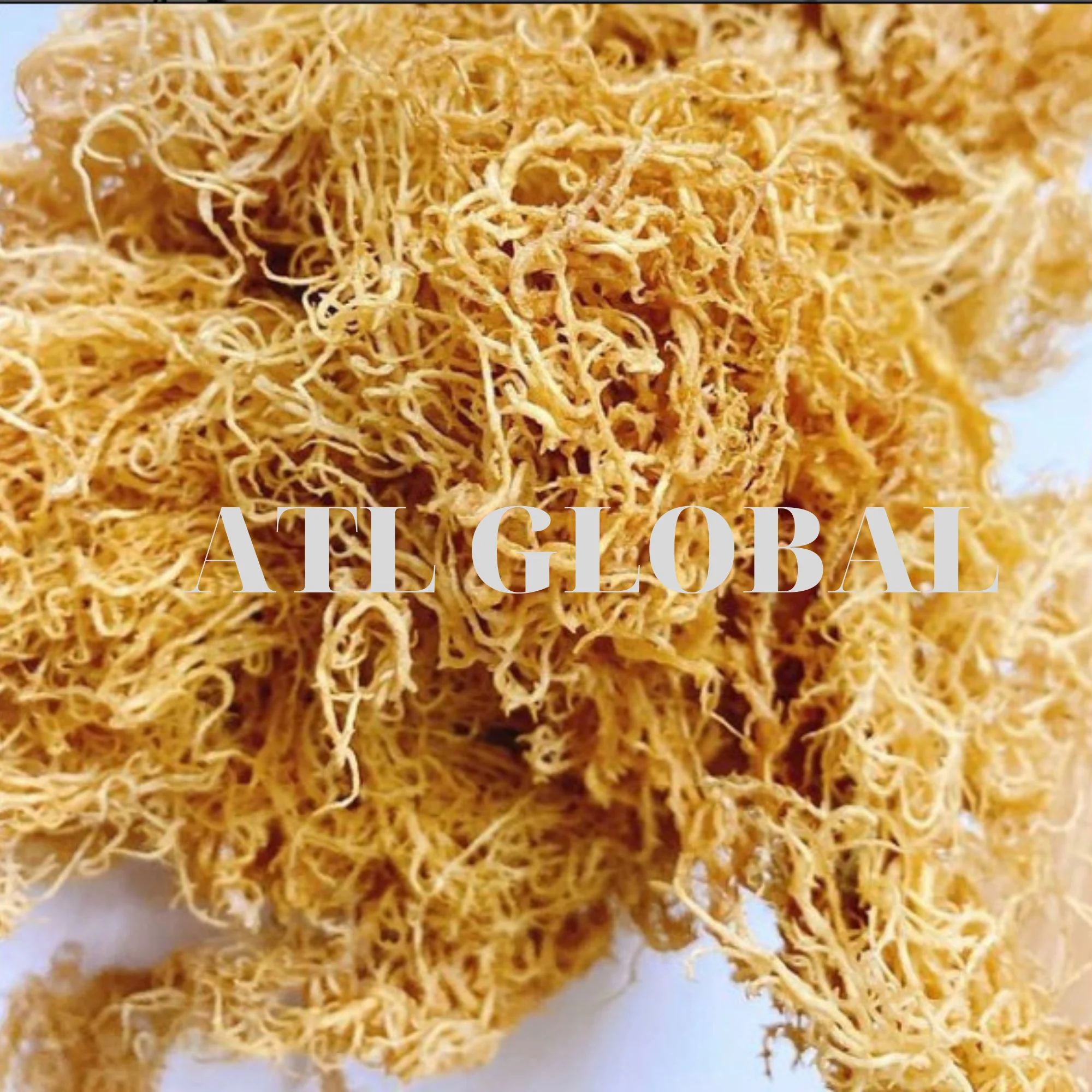 Sea moss gel wildcrafted raw superfood Irish moss/seamoss eucheuma cottonii  seamoss raw organic dried sea moss dried seaweed