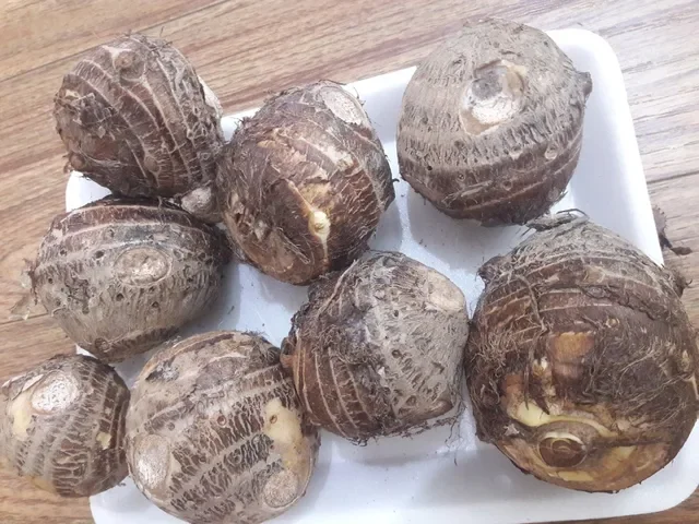 New Fresh Small TARO From Vietnam