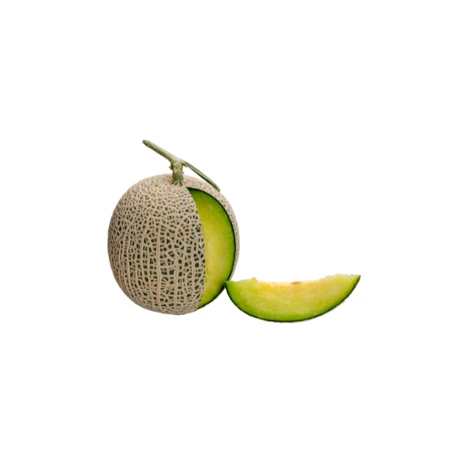 New Crop Fresh Cantaloupe Melon for Sale From Vietnam