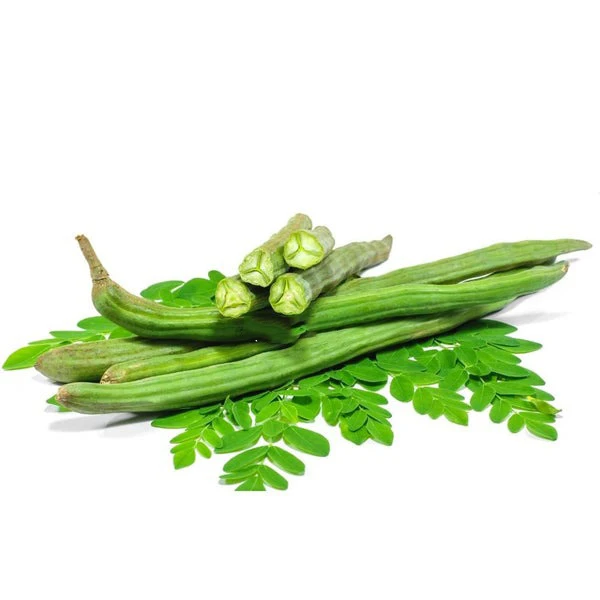 Vegetable DRUMSTICK Organic Factory Supply Fresh Crops Low Cost Price Fresh for sale 100% Fresh Moringa Drumstick Vegetable