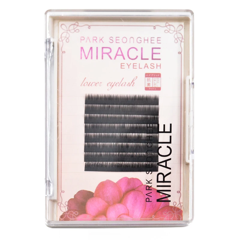 Wholesale False Eyelashes EyeLash Vendors diy lash extensions diy eyelash extensions kit